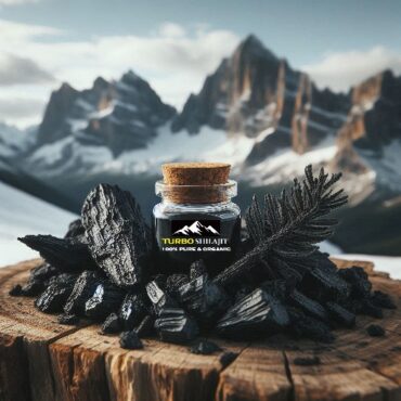 Shilajit – Ayurveda’s Ancient Healing Secret