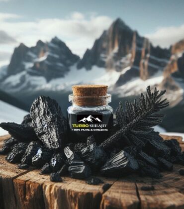 Shilajit - Ayurveda’s Ancient Healing Secret