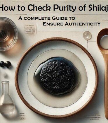 How to Check the Purity of Shilajit